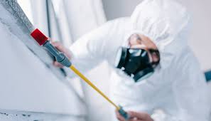 Best Fumigation Services  in Albion, PA